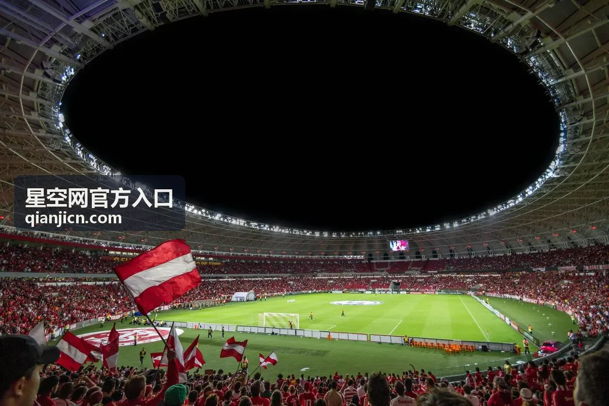 星空网官方入口账号二次验证与设备确认示意