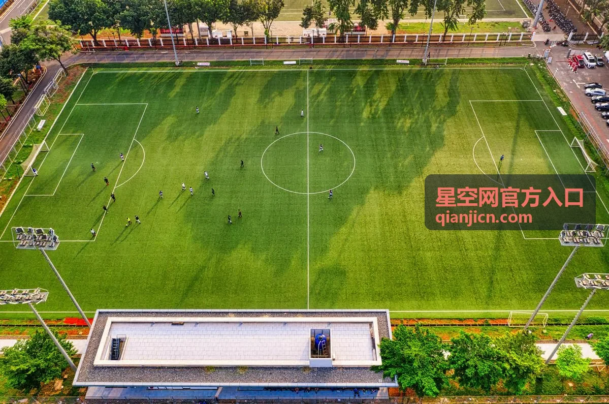 星空网官方入口地址更新与公告核对记录示意