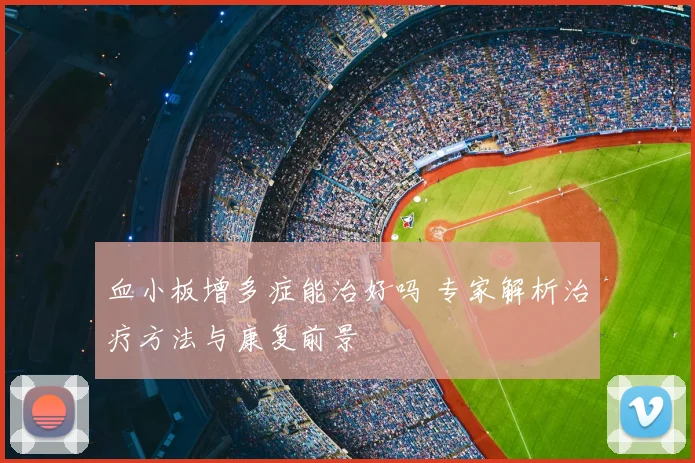 血小板增多症能治好吗 专家解析治疗方法与康复前景