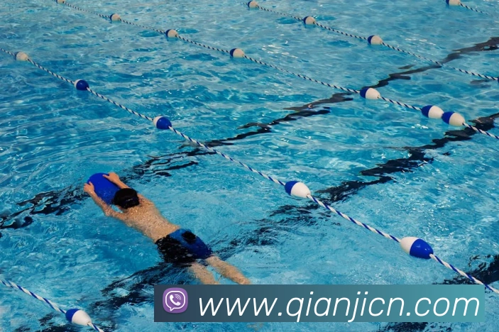 世界杯网上购票平台平台生态图